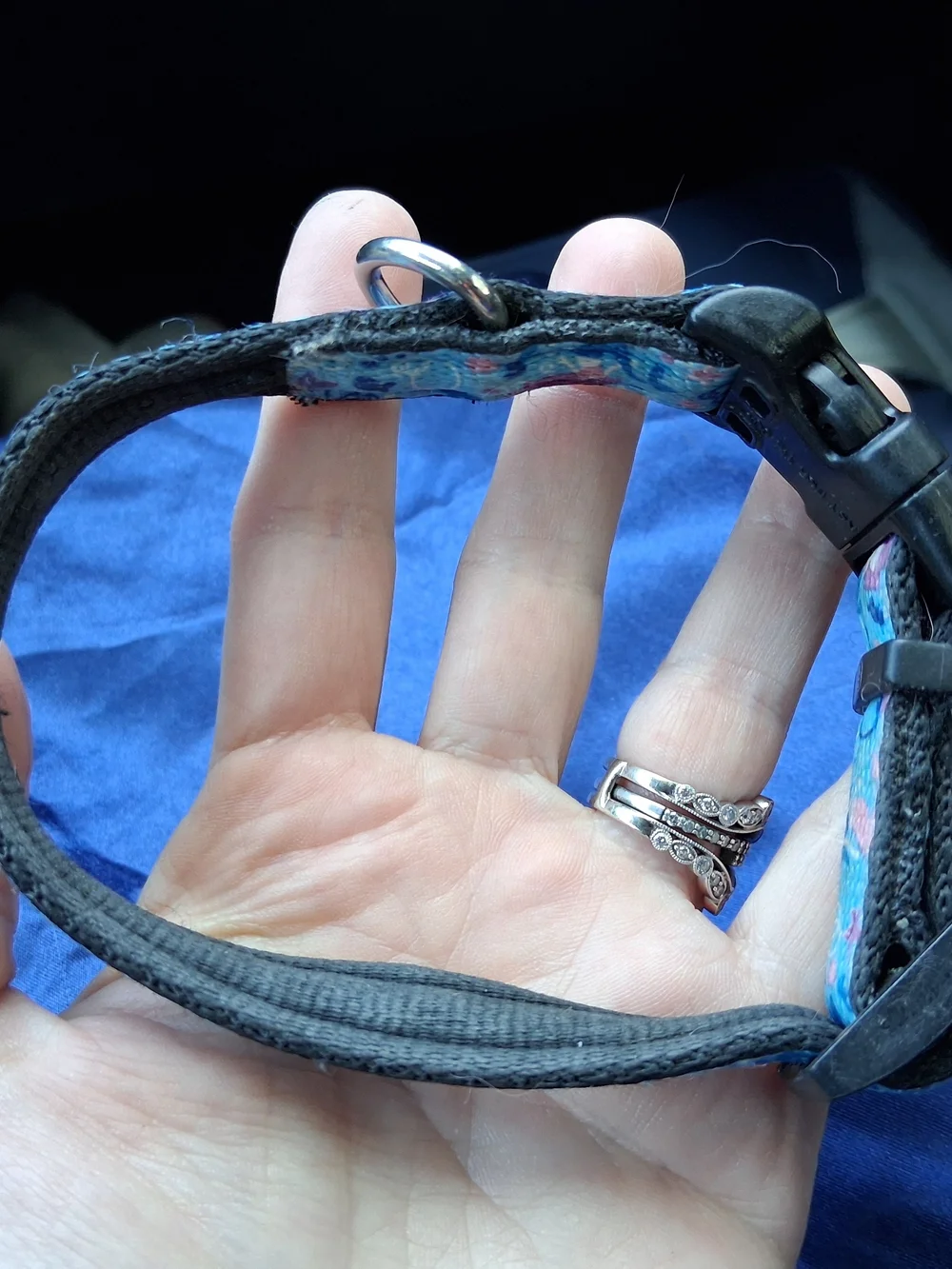 Coastal Unisex Small Blue Mermaid Patterned Dog Collar